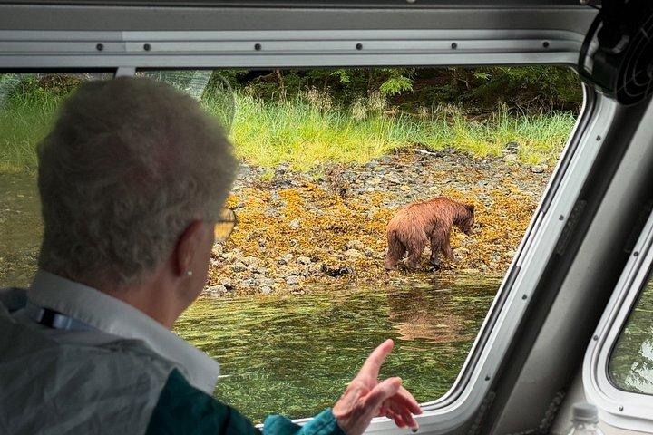 Avistamiento de Ballenas y Aventura Salvaje en Sitka