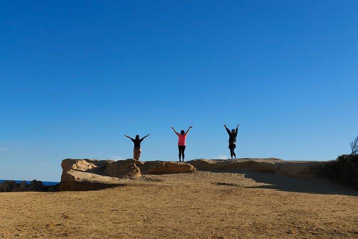 パース発：コアラとピナクルズ砂漠の夕日、星空観察日帰りツアー