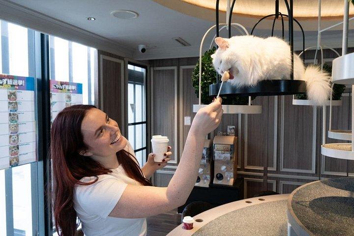 Tokyo Shinjuku Cat Lounge Experience with Treats and Drinks