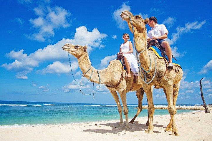 Tangier Essentials Uncovered – Private Shore Tour 6 Hours