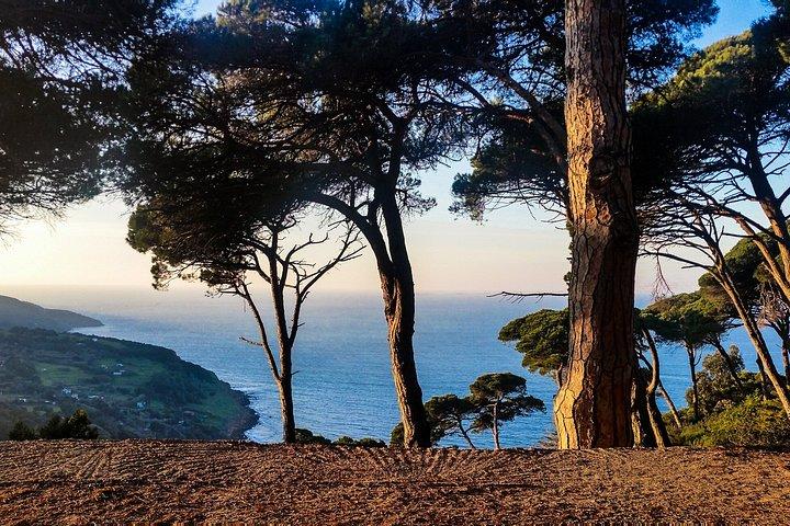 Tangier Essentials Uncovered – Private Shore Tour 6 Hours