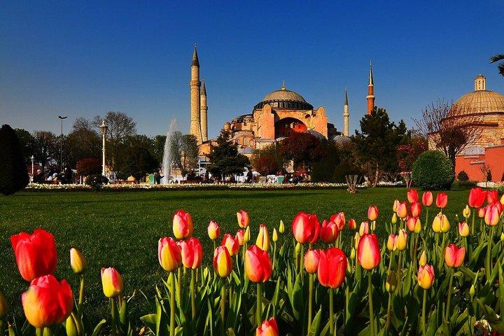 Istanbul Jewels: Old City Experience with Airport Transfer