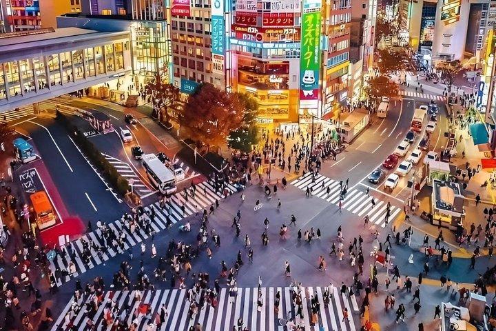 東京プライベート終日観光ツアー 寺院、タワーなど