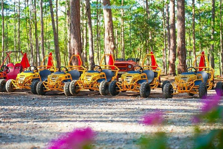 Da Lat Datanla Pine Kart Biglietto del veicolo elettrico