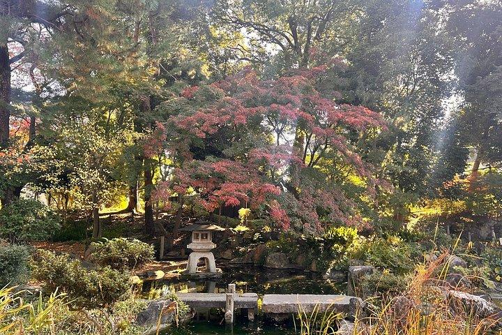 プロの庭師とE-bikeで巡る東京の紅葉狩りツアー