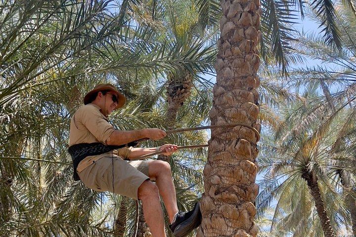 Al Ain Tour From Abu Dhabi with Guide - Small Group