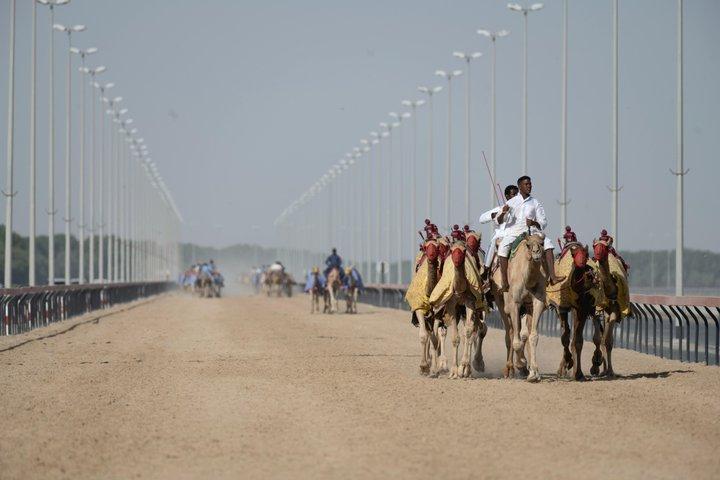 Al Ain Tour From Abu Dhabi with Guide - Small Group