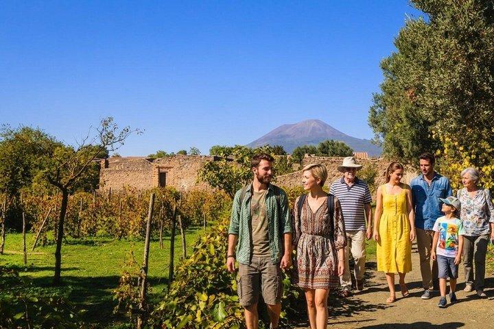 Vesuvius Wine Tasting & Lunch: Vineyard Tour from Naples