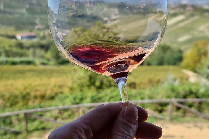 Barolo Wine Tasting Experience from Turin