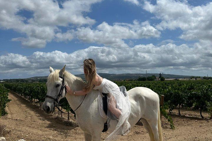 From Barcelona: PRIVATE Horseback Riding and Tapas Brunch