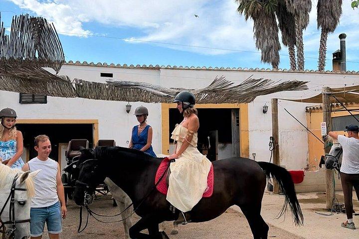 Från Barcelona: PRIVAT ridning och Tapas Brunch