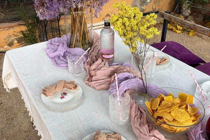 From Barcelona: PRIVATE Horseback Riding and Tapas Brunch