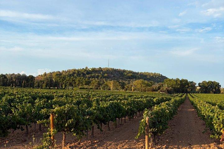 From Barcelona: PRIVATE Horseback Riding and Tapas Brunch