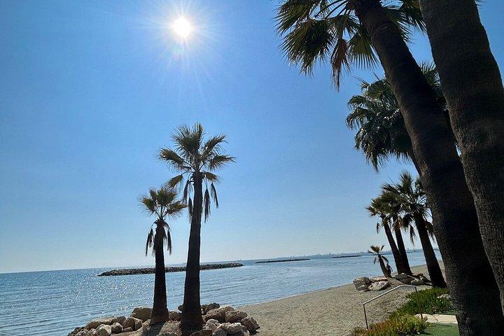 Cyprus: Privé Larnaca Stadsrondvaart & Glasbodemboottocht