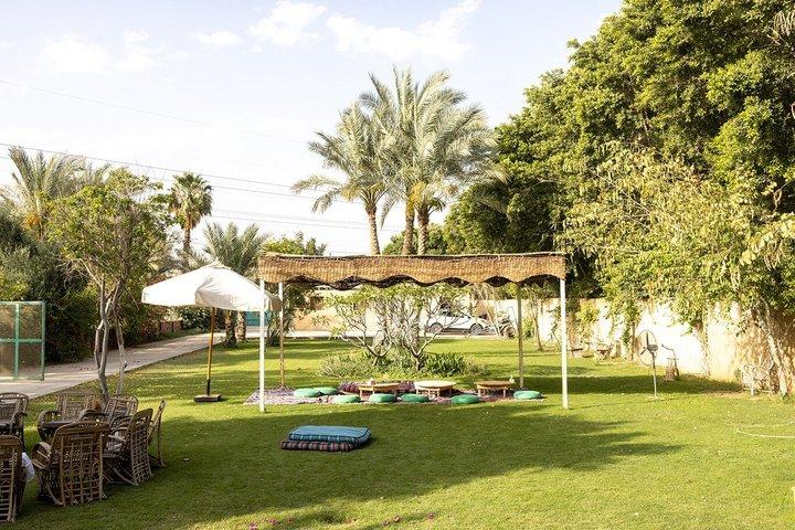 Saqqara Pyramids and Authentic Egyptian Cooking Experience