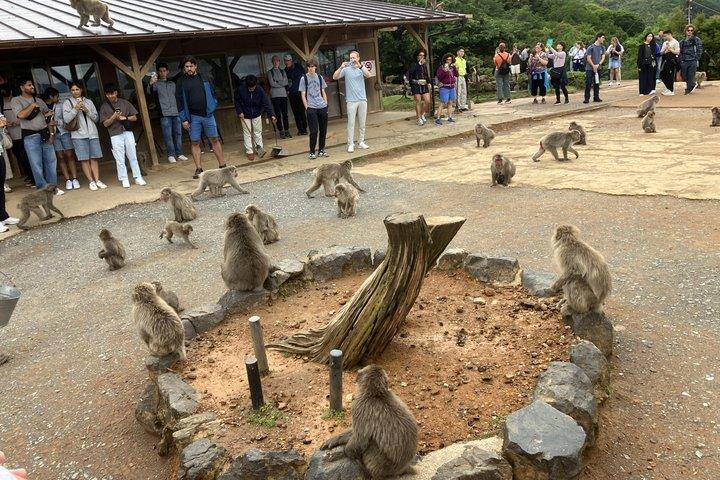 京都の見どころ英語ガイドとホテル送迎付きプライベートツアー