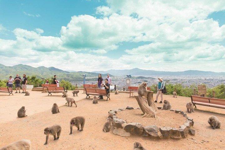 京都の見どころ英語ガイドとホテル送迎付きプライベートツアー