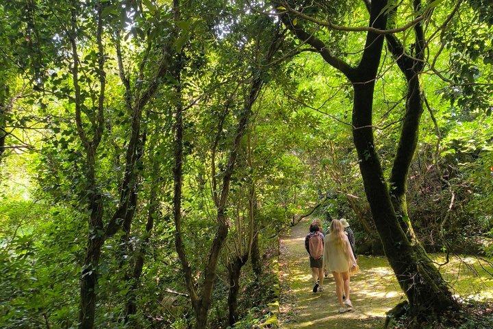 Excursion privée d'une journée à Sintra et Cascais