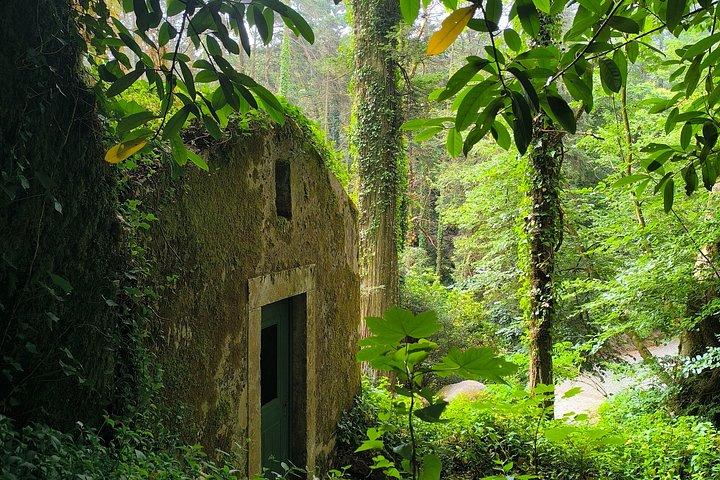 Excursion privée d'une journée à Sintra et Cascais