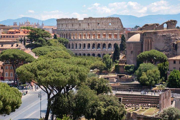Colosseo, Foro Romano e Palatino–Biglietto d’ingresso salta fila
