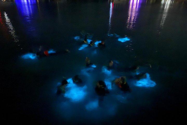 Tour della baia bioluminescente di Grand Cayman e delle stelle marine