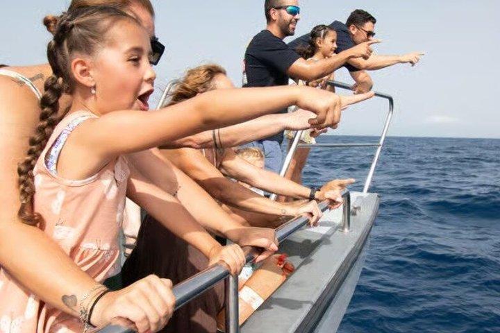 Morro Jable: 2 Hours Magic Dolphin & Whale watching with Drinks & Swim Stop.