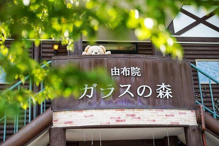 由布院村 別府ロープウェイ 太宰府日帰りツアー
