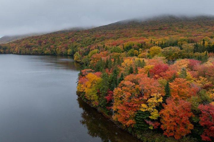 Tour di gruppo piccolo Cabot Trail & Bell Museum Baddeck, 5 ore