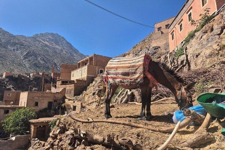 Marrakech: Imlil Valley, Atlas Mountains & Waterfalls Hike
