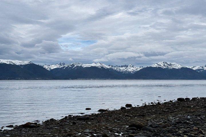 Tour Guiado de Avistaje de Pingüinos y Ruta de la Centolla
