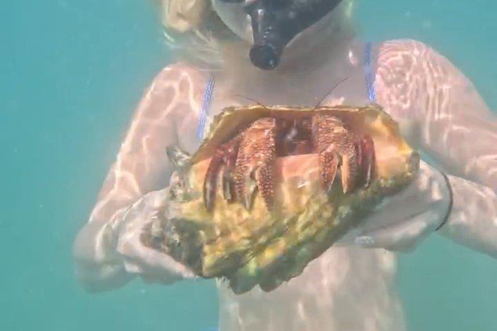 パラダイスでのシュノーケリング