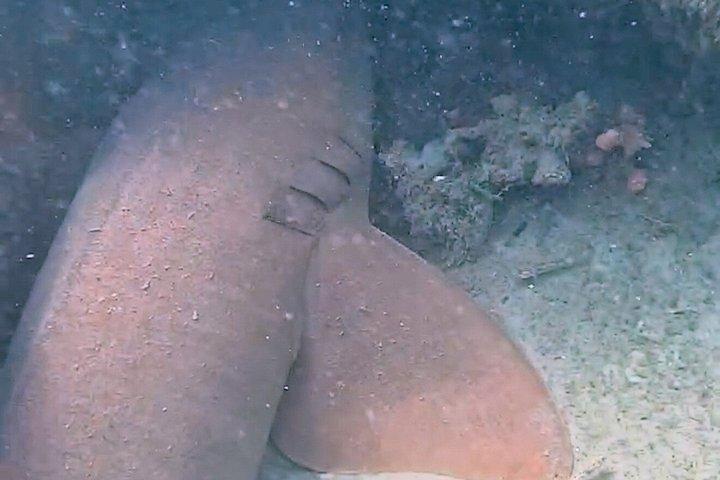 パラダイスでのシュノーケリング