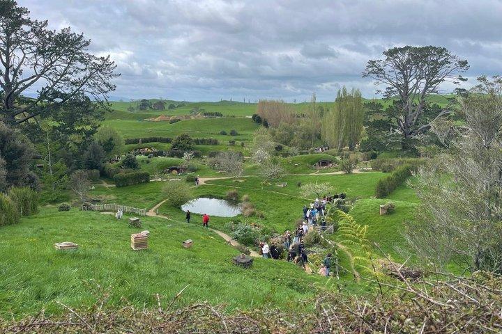 Hobbiton Movie Set & Waitomo Caves Pequeno grupo tour de Auckland