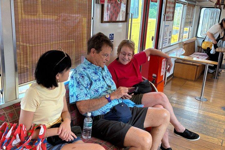 Day Trip Wakayama Cat Stationmaster train ride from Osaka