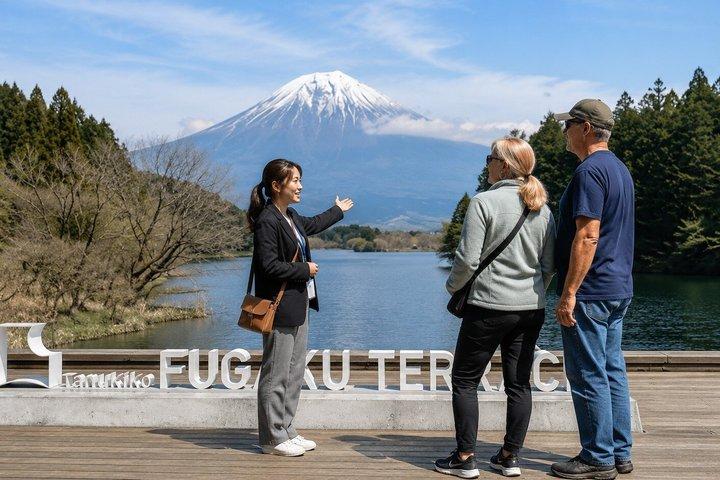 Mt. Fuji and Shiraito Falls Car Tour from Cruise port