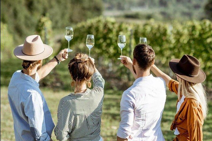 Hunter Valley Wine Tour - Audioguía GPS Autoguiada