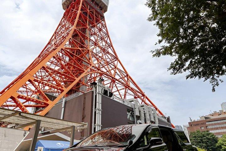 Tokyo Private Sightseeing Tour with English-Speaking Driver