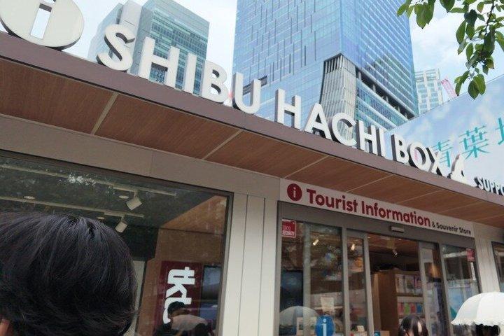 東京 : プライベート渋谷交差点＆ハチ公散策ツアー