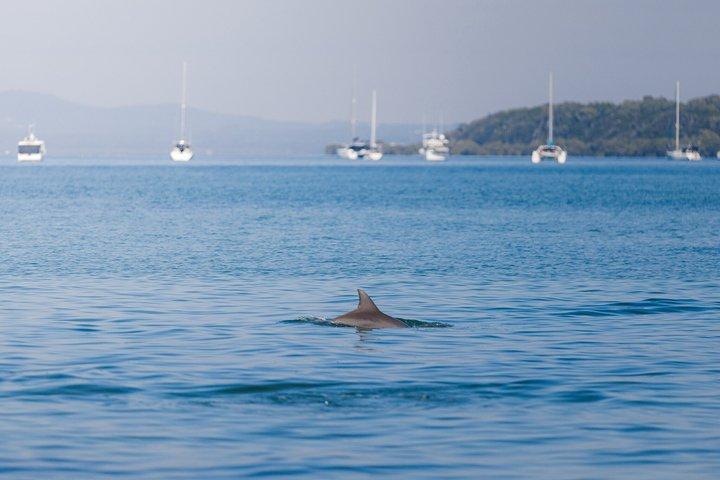 Afternoon Moreton Bay Sailing Tour