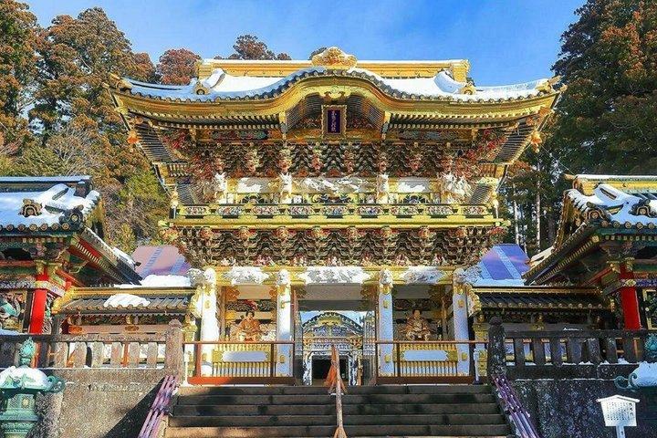 Tour privato di Nikko da Tokyo: Un'esperienza spirituale