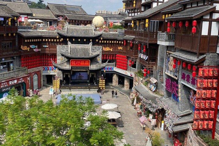 Chongqing 8 Hour Private Tour with Optional English Guide