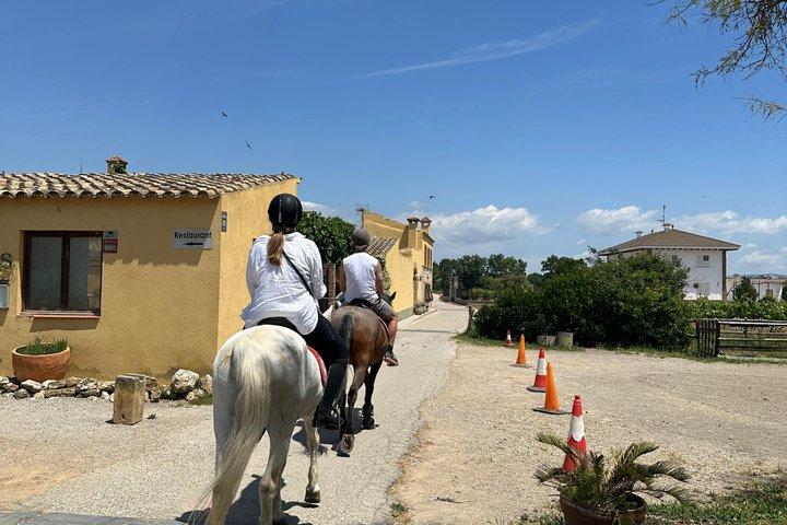 Från Barcelona: PRIVAT ridning och Tapas Brunch