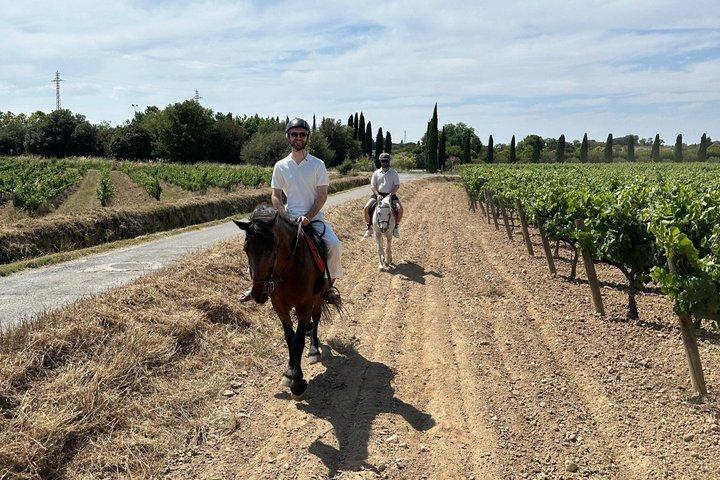 Från Barcelona: PRIVAT ridning och Tapas Brunch