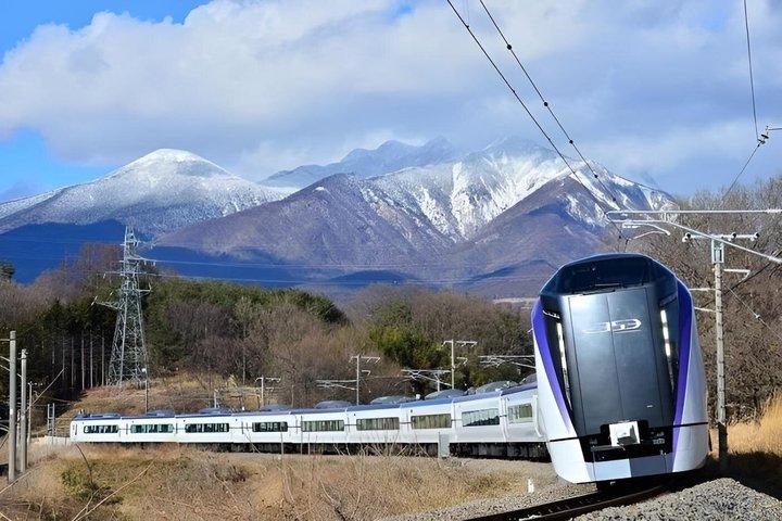 白馬マウンテンハーバー紅葉日帰り列車の旅