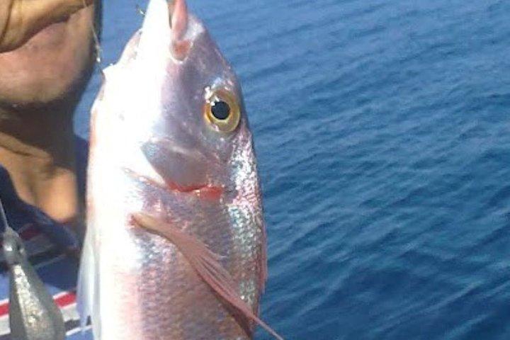 アランヤ海釣りアドベンチャーリラックスして地中海を満喫