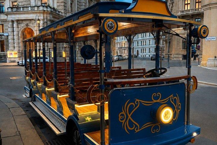 Visite touristique en Vienna Golden Train – Centre historique