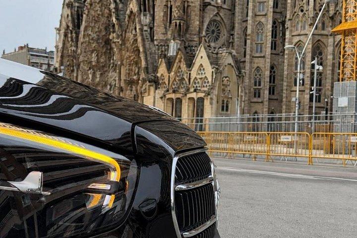 Barcelona Highlights Private Tour with Port or Hotel Transfers