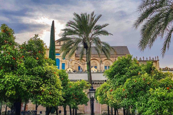 Tour guidato della moschea di Cordova