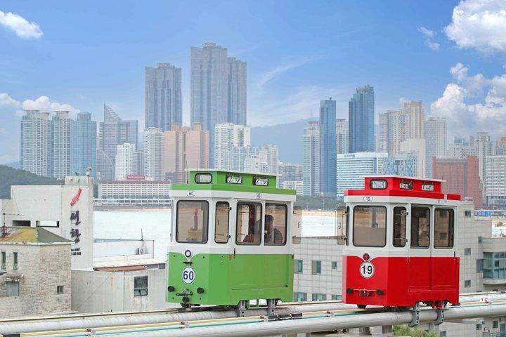 Busan Highlights: Small Group, Hotel Pick-up & Sky Capsule