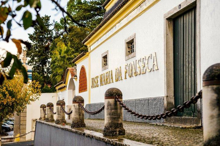 アラビダとセシンブラからのプライベートワインテイスティングツアー